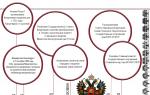 Osmanov Sergej Pavlovič.  Povijest ustanove.  Izgradnja Zenit Arene - stručna procjena