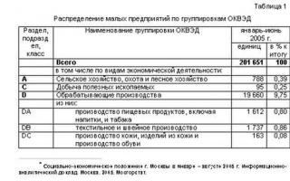 Sveruski klasifikator vrsta ekonomske aktivnosti i principi kodifikacije
