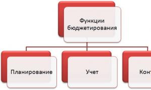 Organization of the budgeting process