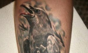 Татуировки ворон с черепом эскизы