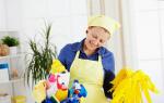 Standard standards of service for cleaners of industrial premises of industrial enterprises