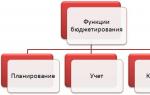 Organization of the budgeting process
